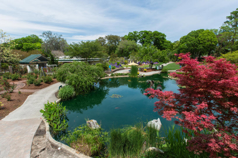 New Hanover County Arboretum | N.C. Cooperative Extension, United States